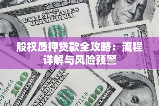 武汉股权质押贷款全攻略：流程详解与风险预警