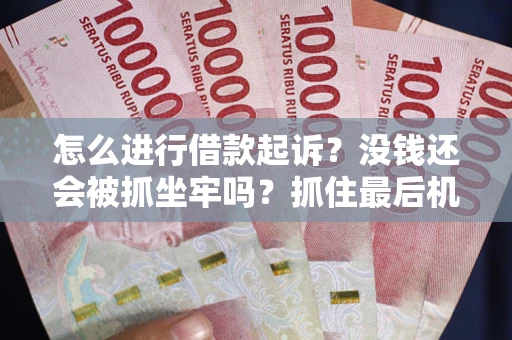 武汉怎么进行借款起诉？没钱还会被抓坐牢吗？抓住最后机会！