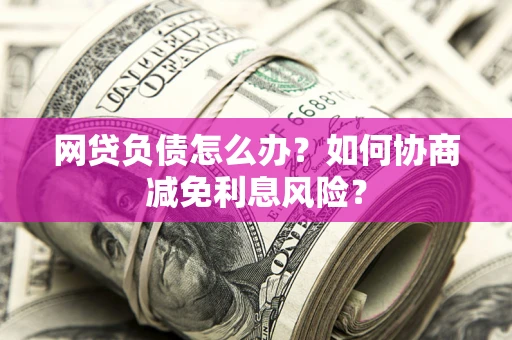 武汉网贷负债怎么办？如何协商减免利息风险？