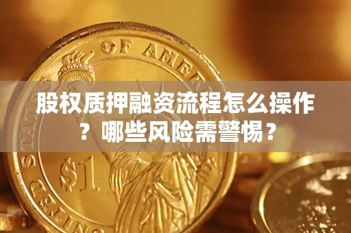 武汉股权质押融资流程怎么操作？哪些风险需警惕？