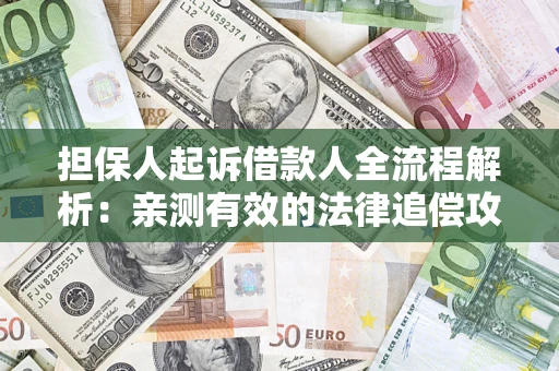 武汉担保人起诉借款人全流程解析：亲测有效的法律追偿攻略