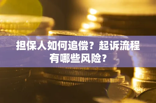 武汉担保人如何追偿？起诉流程有哪些风险？