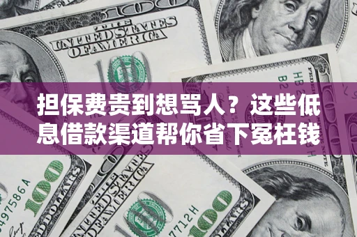 武汉担保费贵到想骂人？这些低息借款渠道帮你省下冤枉钱