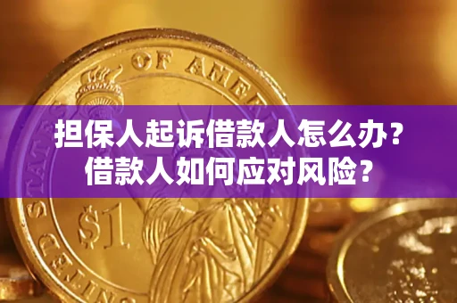 武汉担保人起诉借款人怎么办？借款人如何应对风险？