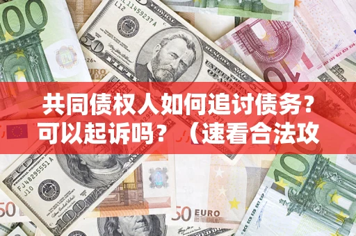 武汉共同债权人如何追讨债务？可以起诉吗？（速看合法攻略）