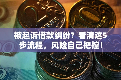 武汉被起诉借款纠纷？看清这5步流程，风险自己把控！