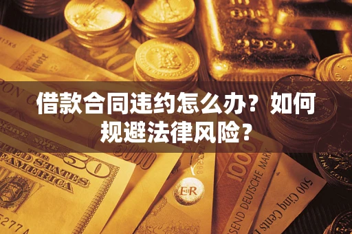 武汉借款合同违约怎么办？如何规避法律风险？